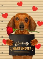valentijn kaart hout hond jij bent mijn hartendief
